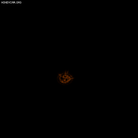 091711oolzwnxzbbxqg4n0.gif